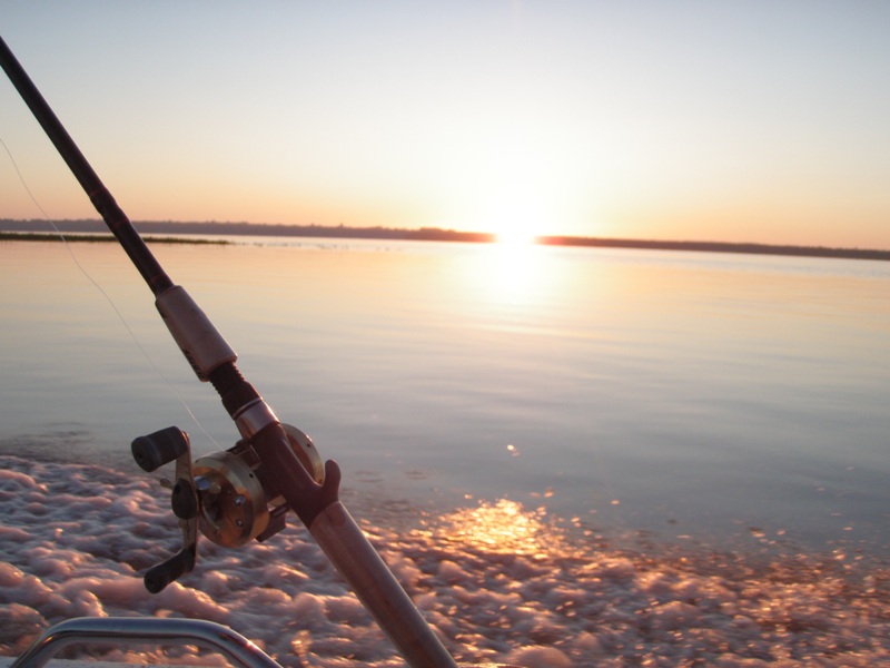 PESCA EN COSTA FLORENTINO