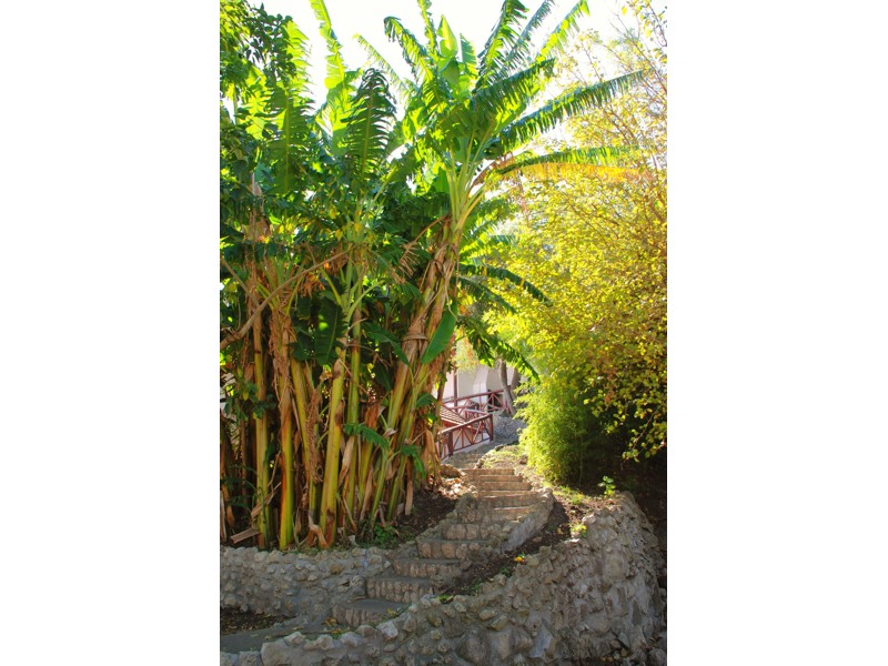 COMPLEJO COSTA FLORENTINO